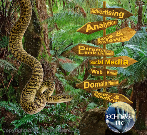 Technivise is your guide to the Internet Jungle!