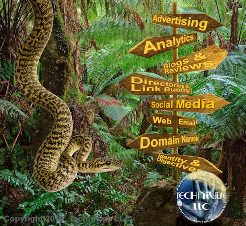 Technivise is your guide to the Internet Jungle!